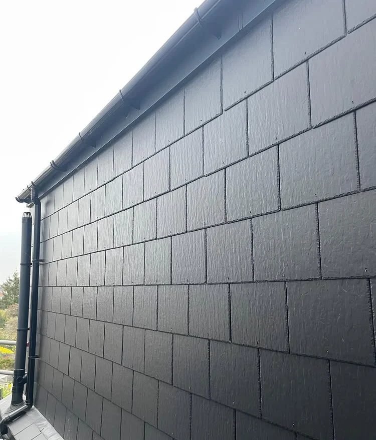 New build roof and black roofline on rendered house